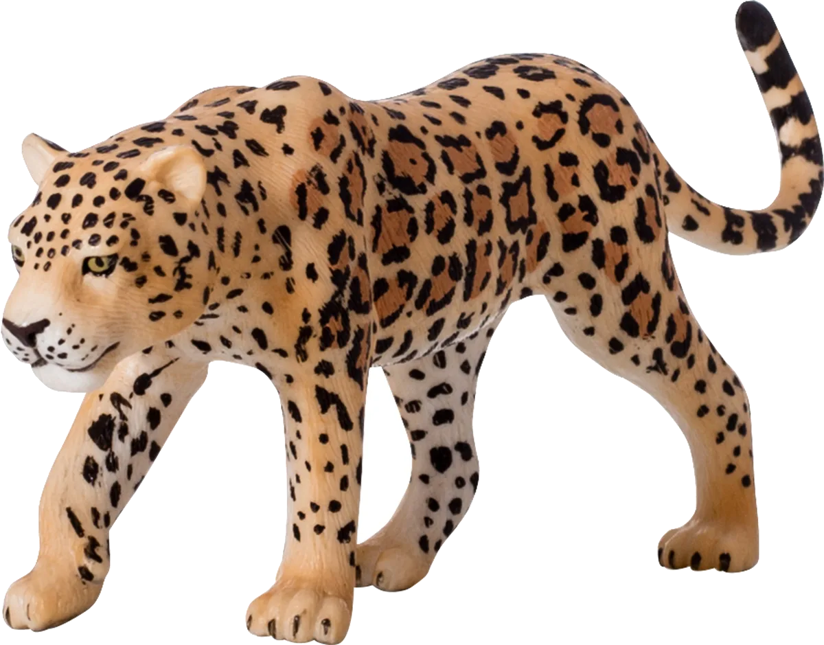 Mojo Leopard - billede 1