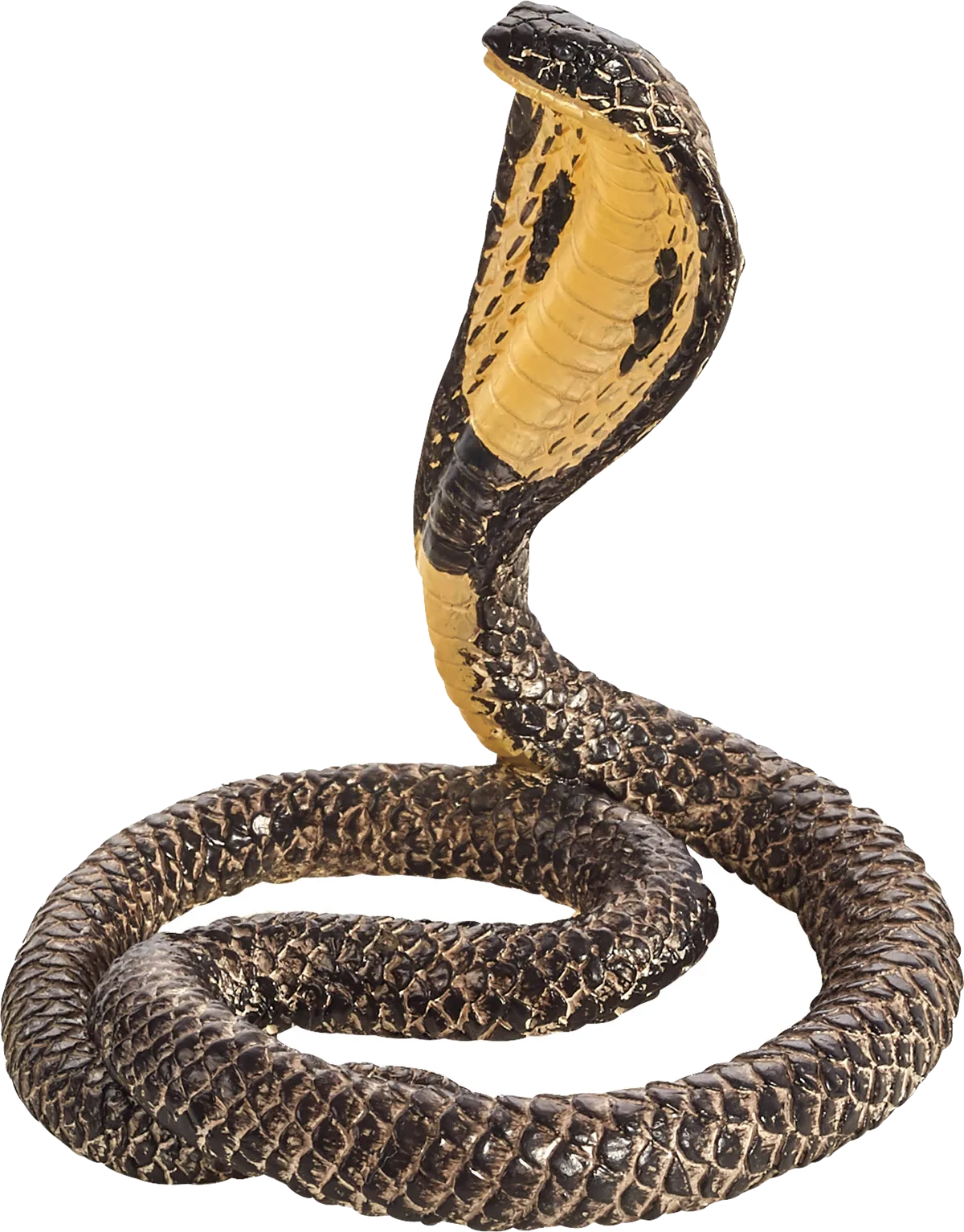 Mojo King Cobra - billede 1