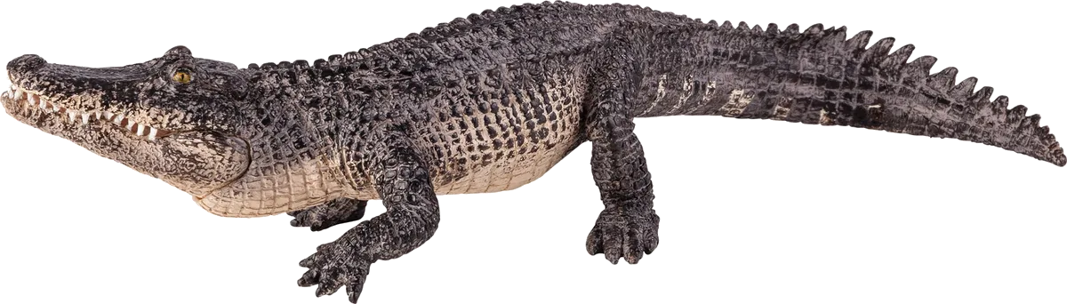 Mojo Alligator - billede 1