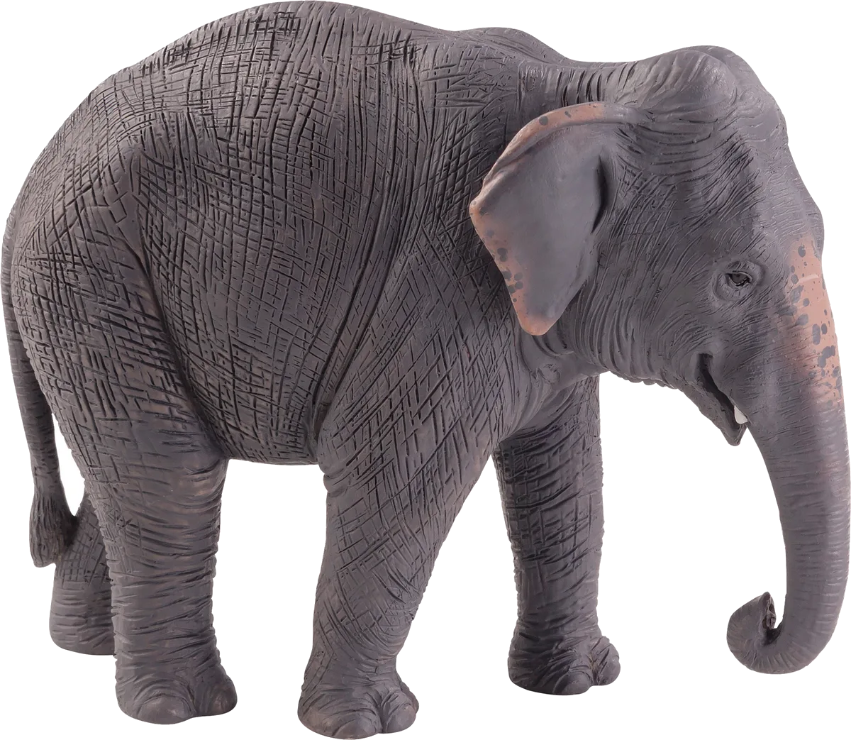 Mojo Asiatisk elefant - billede 1
