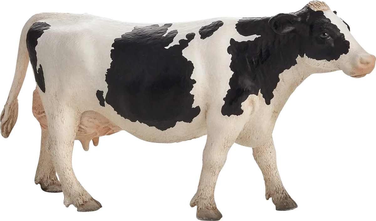 Mojo Holstein Ko - billede 1