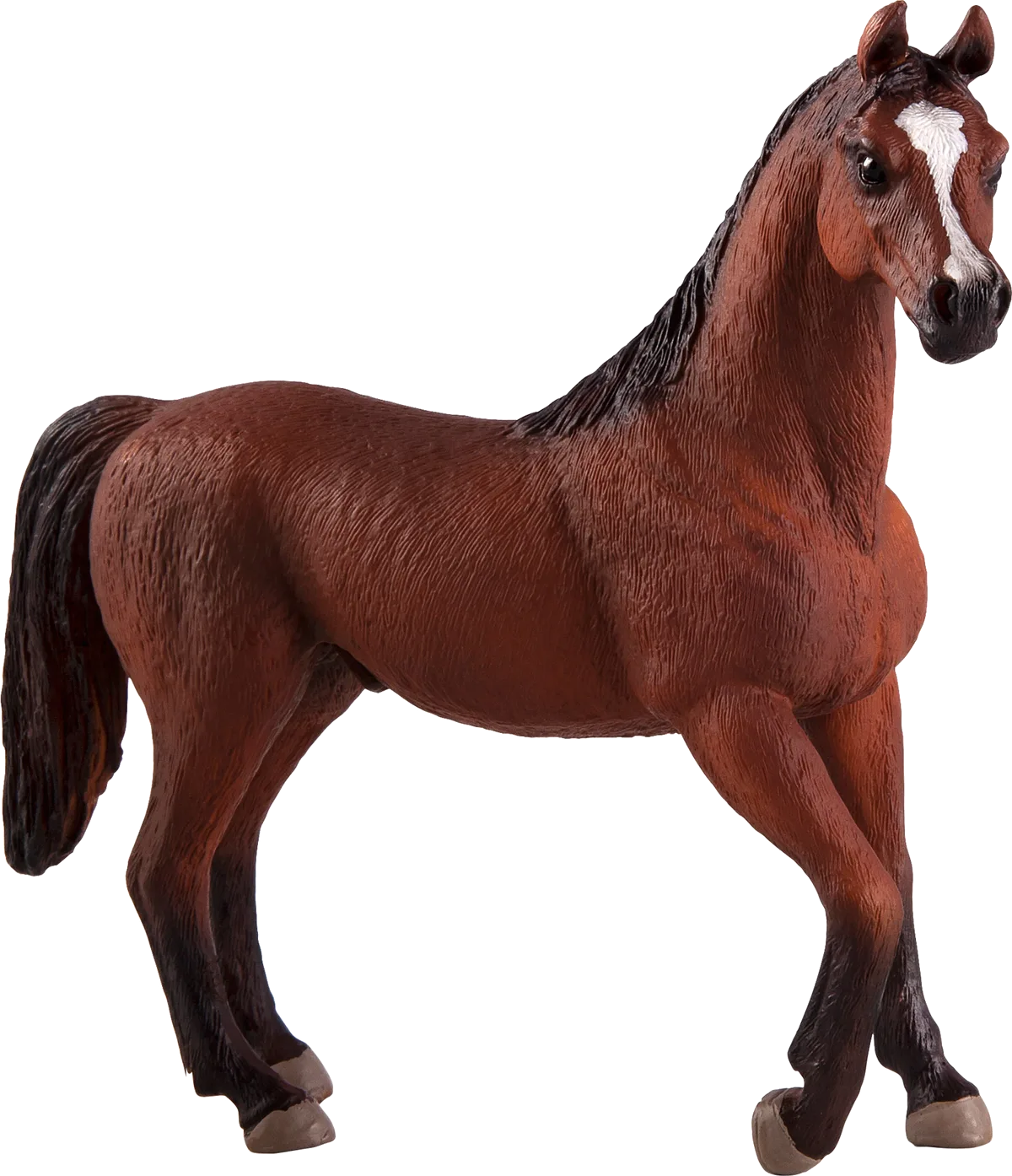 Mojo Arabisk Hingst, Kastanje - billede 1