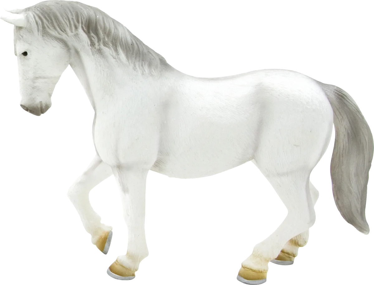 Mojo Lipizzaner Mare Hest - billede 1