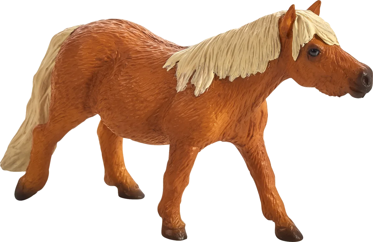 Mojo Shetland Pony - billede 1