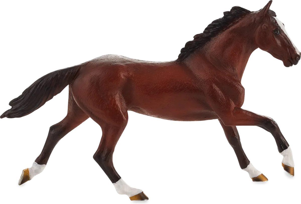 Mojo Thoroughbred Hest - billede 1