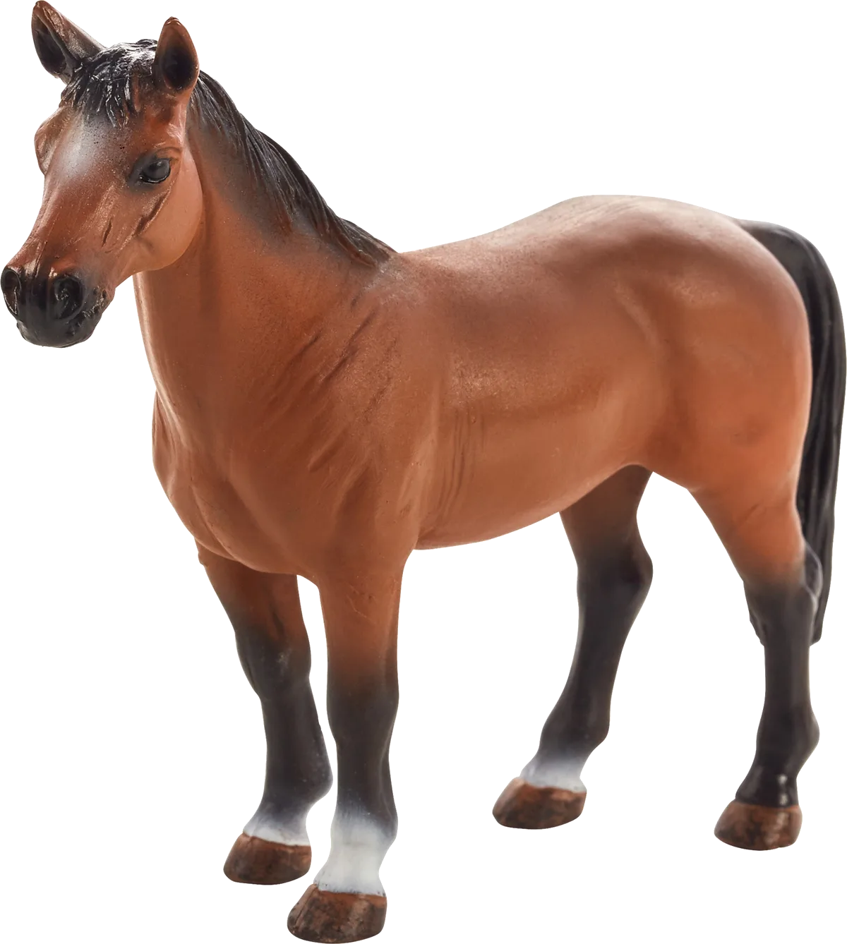 Mojo Trakehner Hest - billede 1