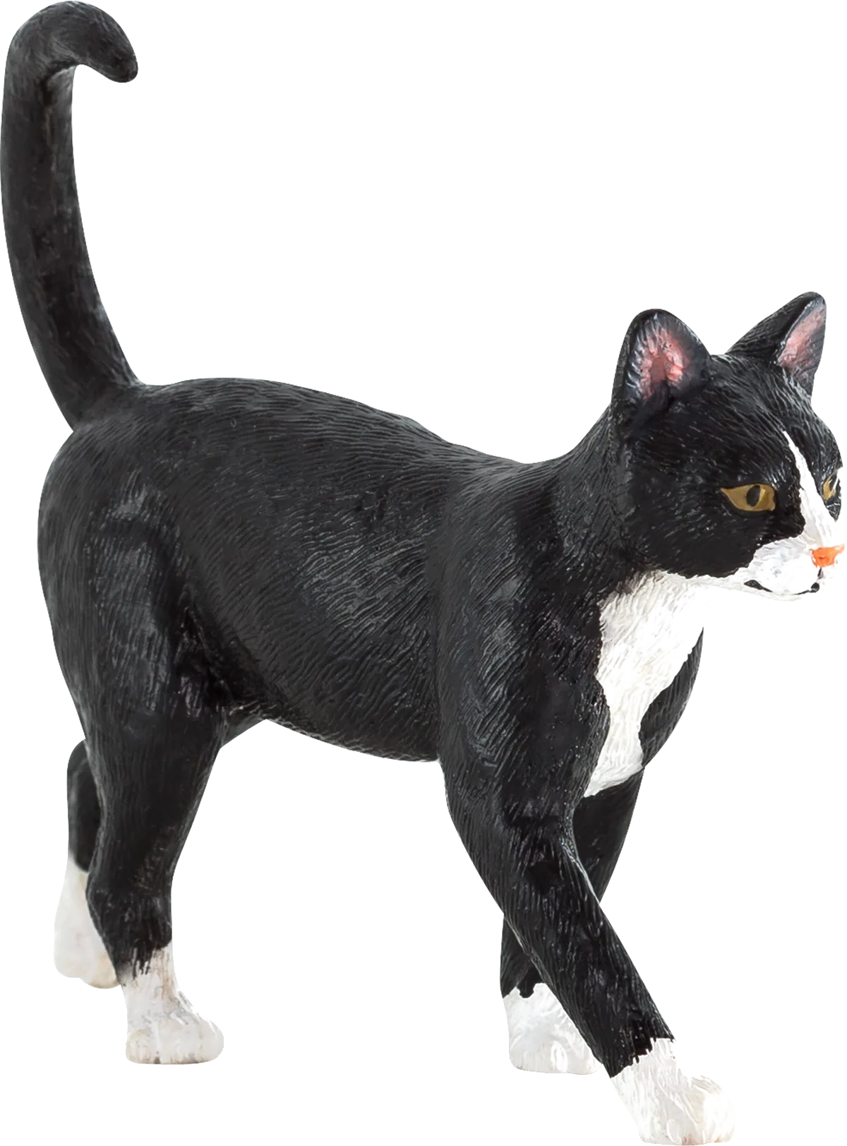 Mojo Kat - billede 1