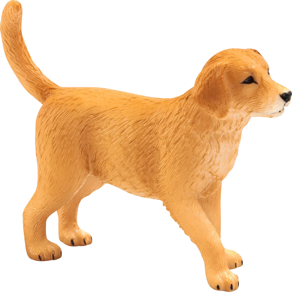 Mojo Golden Retriever hundehvalp - billede 1