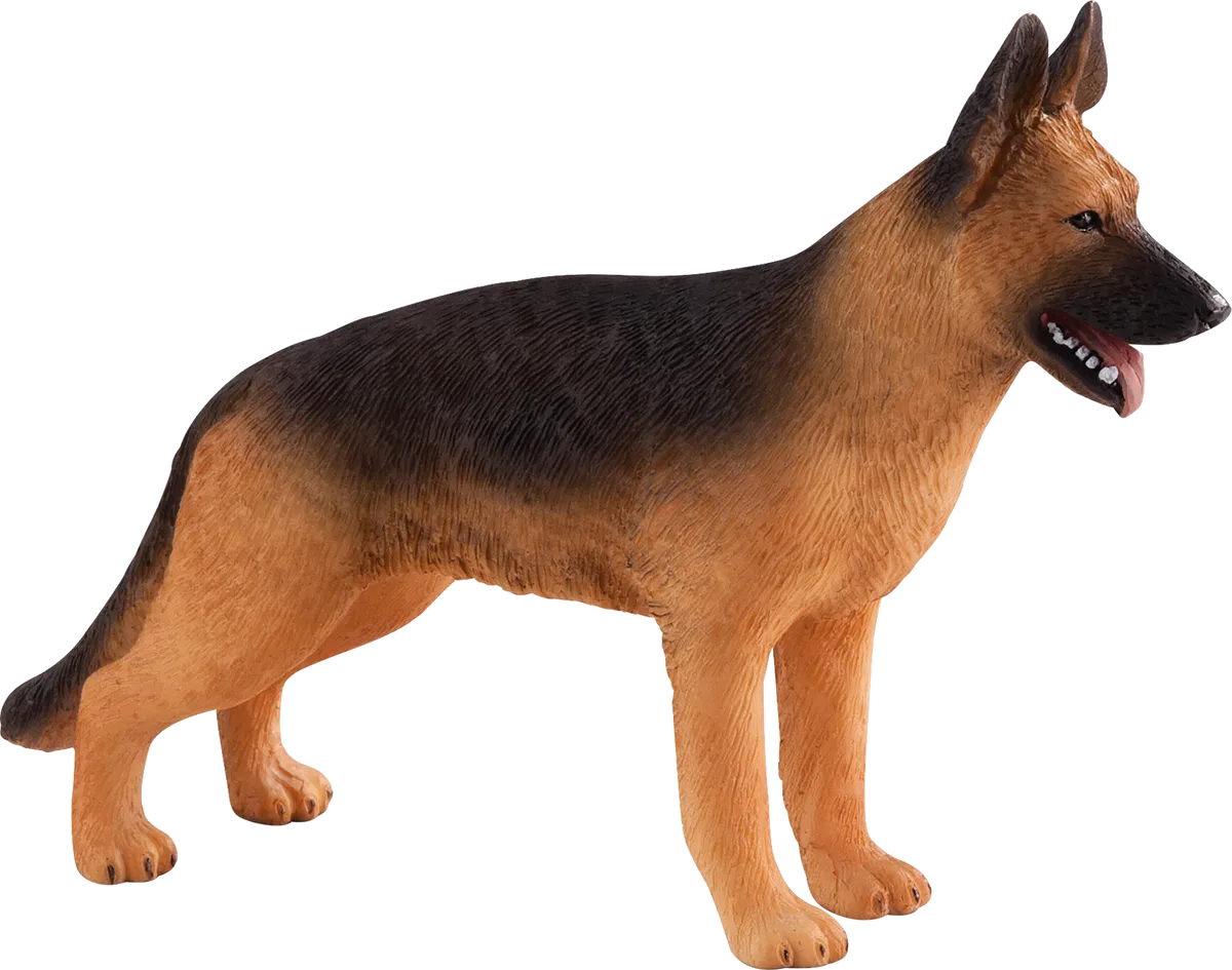 Mojo Schæferhund - billede 1