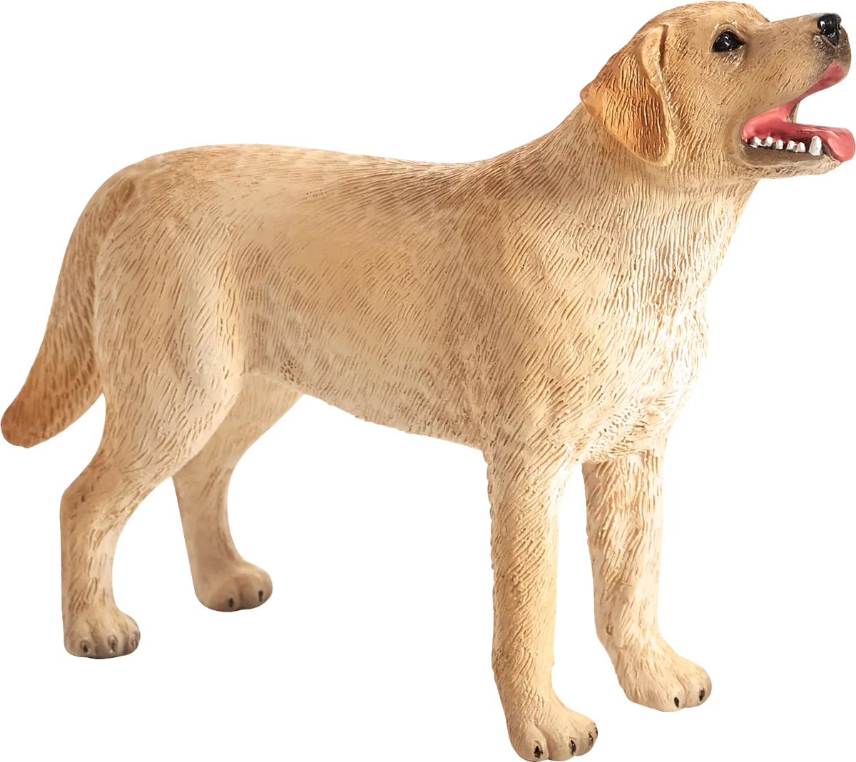 Mojo Labrador - billede 1