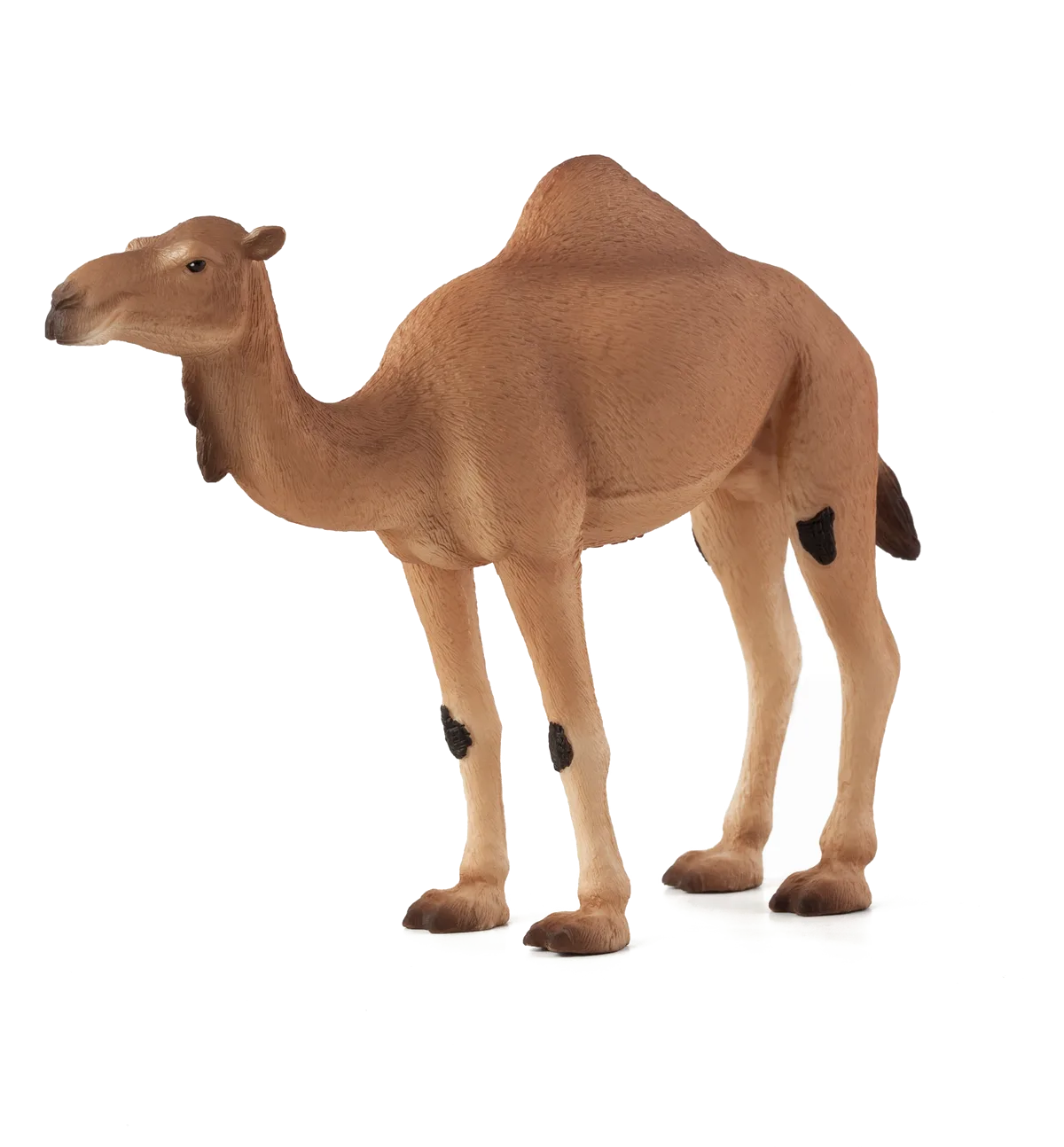 Mojo Arabisk Kamel - billede 1