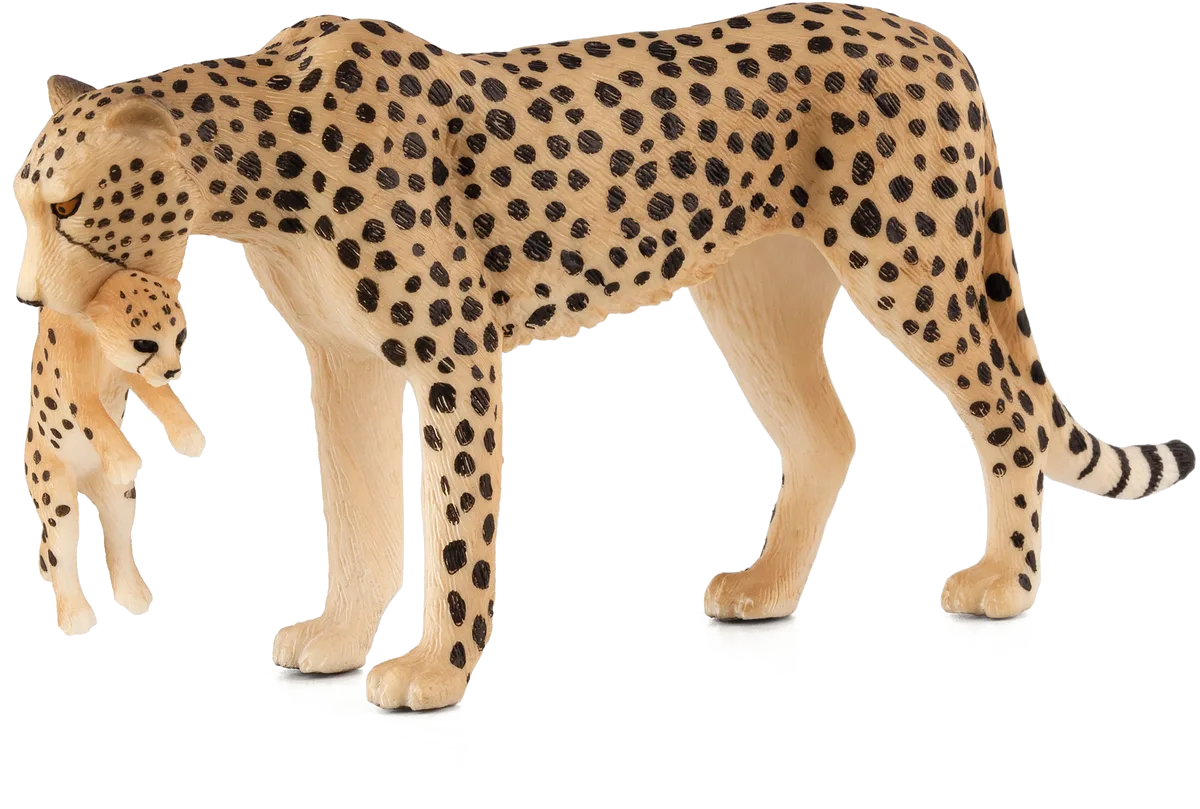 Mojo Gepard med unge - billede 1