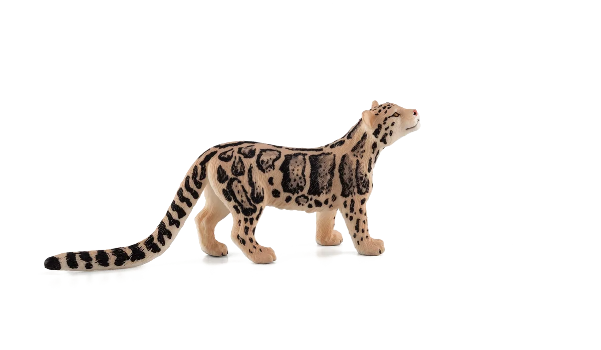 Mojo Clouded Leopard - billede 1