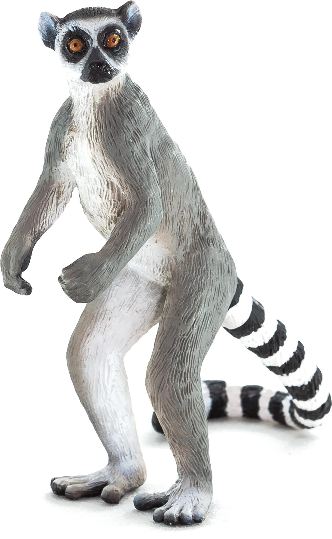 Mojo Ringtail Lemur - billede 1