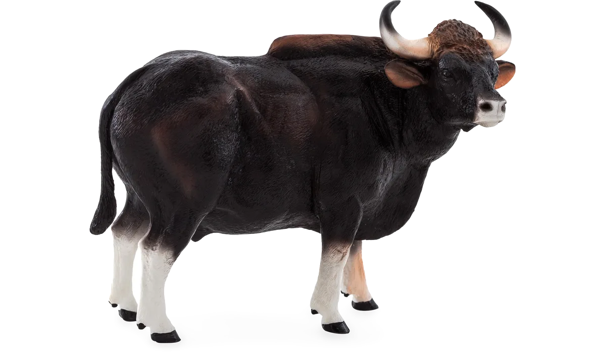 Mojo Gaur Tyr - billede 1
