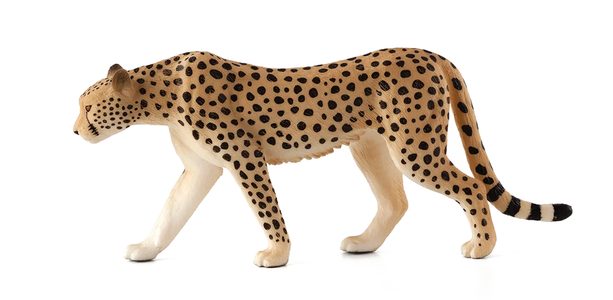 Mojo Gepard han - billede 1
