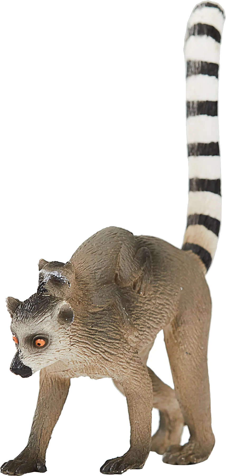 Mojo Lemur med unge - billede 1