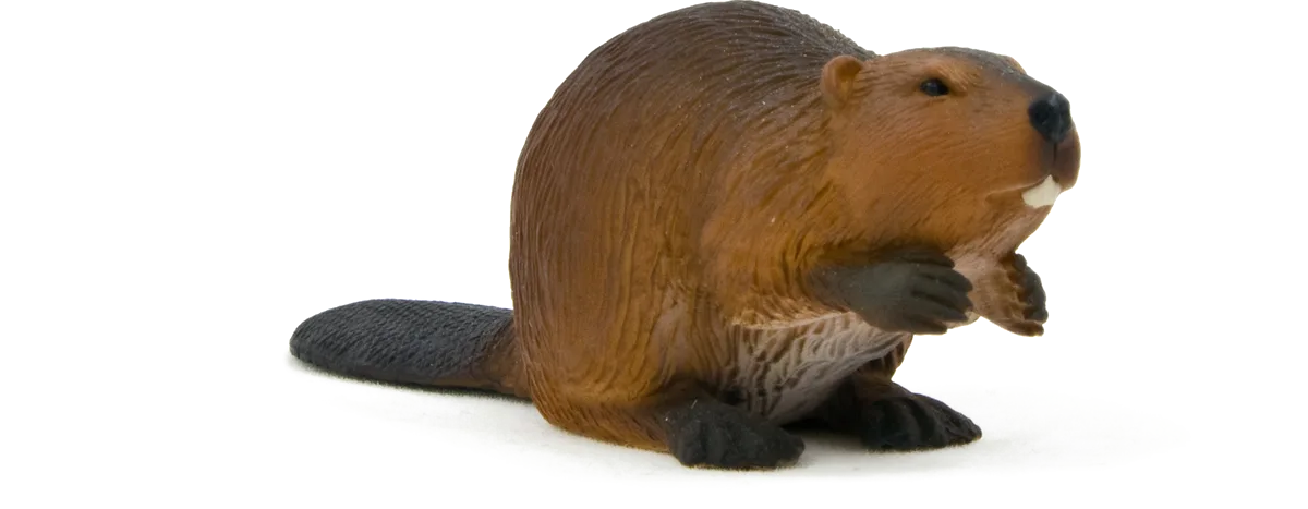 Mojo Bæver - billede 1