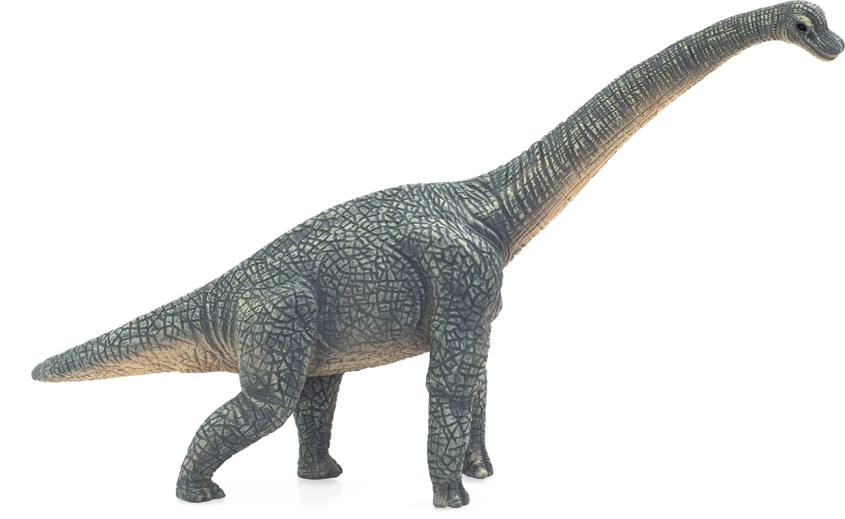 Mojo Brachiosaurus - billede 1