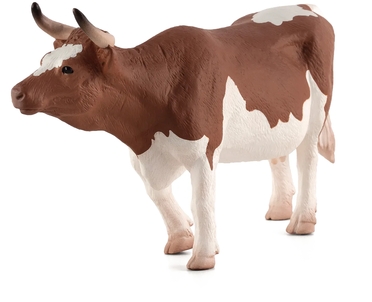Mojo Simmental Ko - billede 1