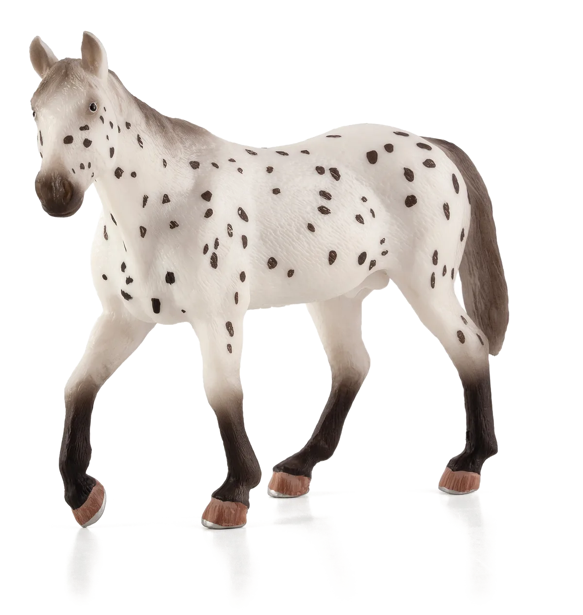 Mojo Appaloosa Hingst - billede 1