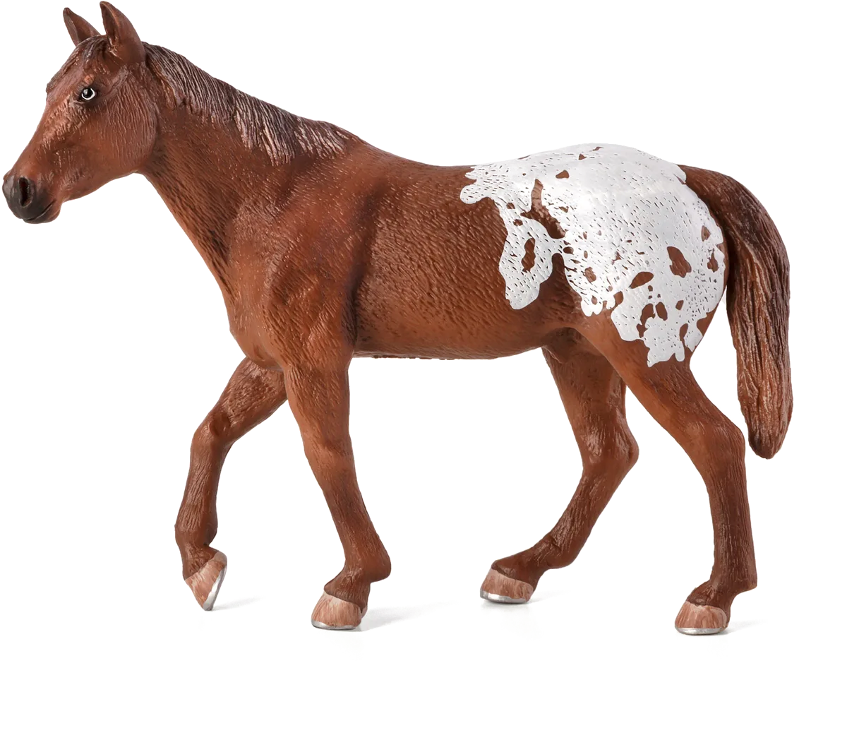 Mojo Appaloosa Hingst, Kastanje - billede 1