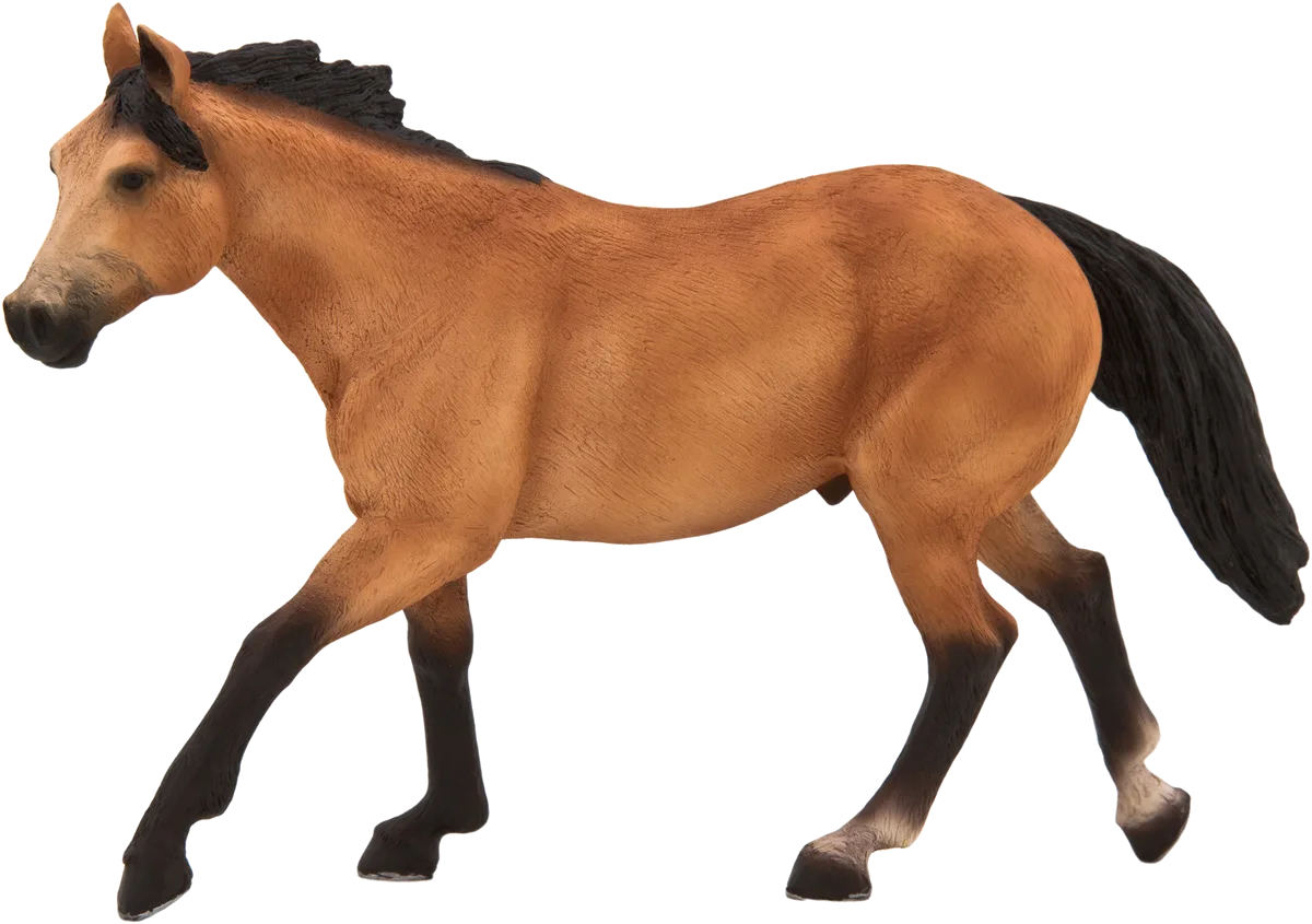 Mojo Buckskin Hest - billede 1
