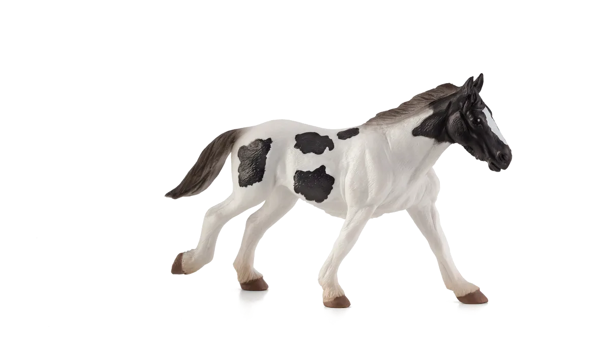 Mojo Tinker Ung-Hest - billede 1
