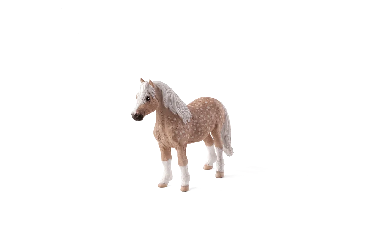 Mojo Welsh Pony - billede 1