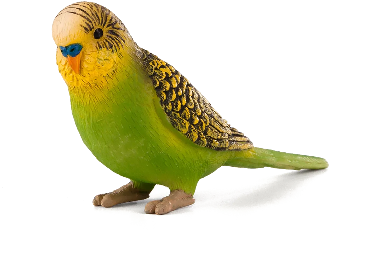 Mojo Undulat, Grøn - billede 1