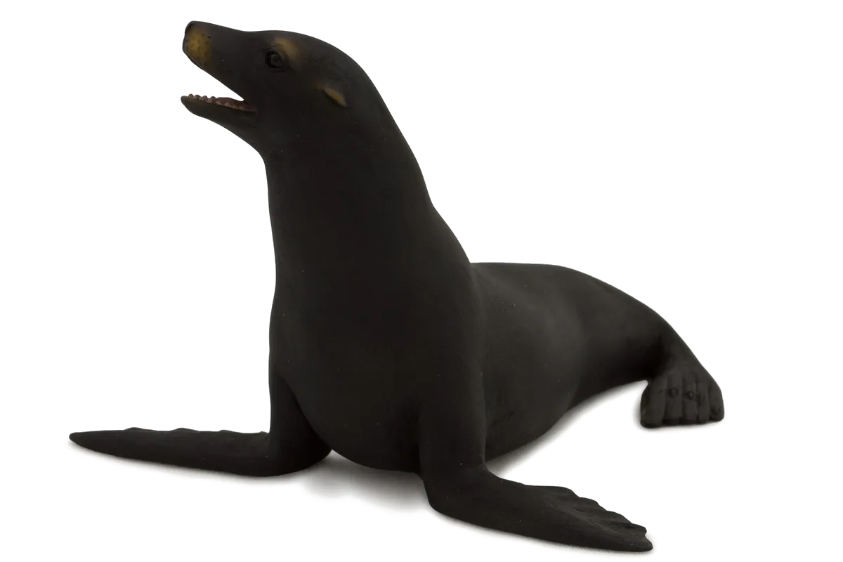 Mojo Californisk Søløve - billede 1