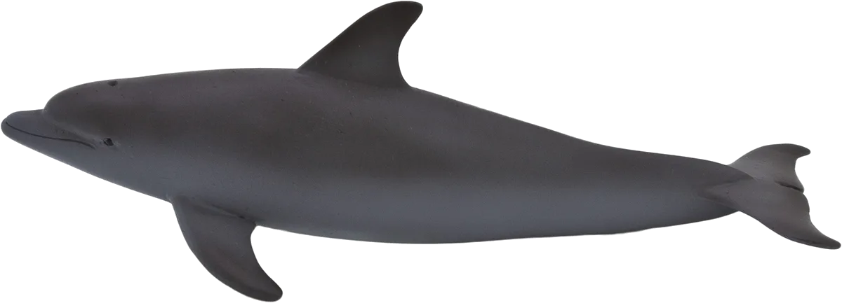 Mojo Bottlenose Delfin - billede 1