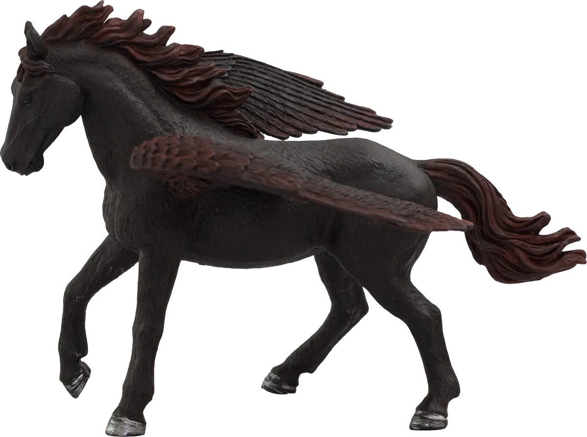 Mojo Pegasus, Sort - billede 1