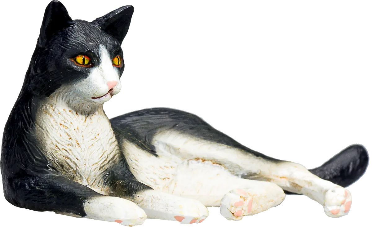 Mojo Kat, sort/Hvid - billede 1