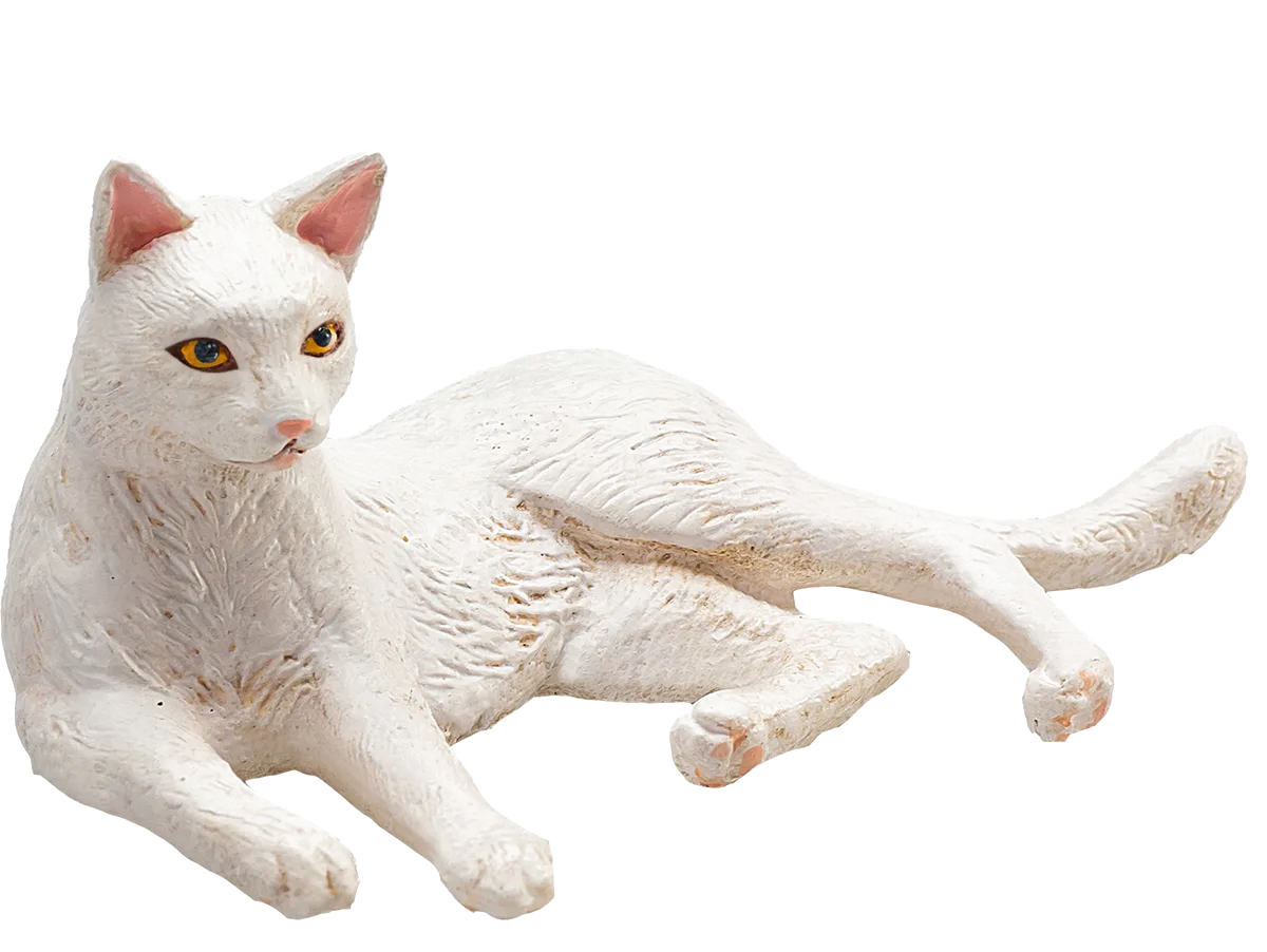Mojo Kat, Liggende/hvid - billede 1