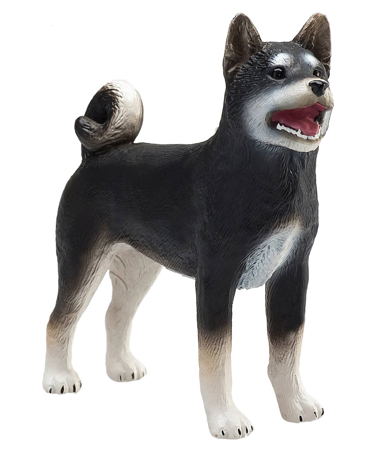 Mojo Shiba Inu hund, sort - billede 1