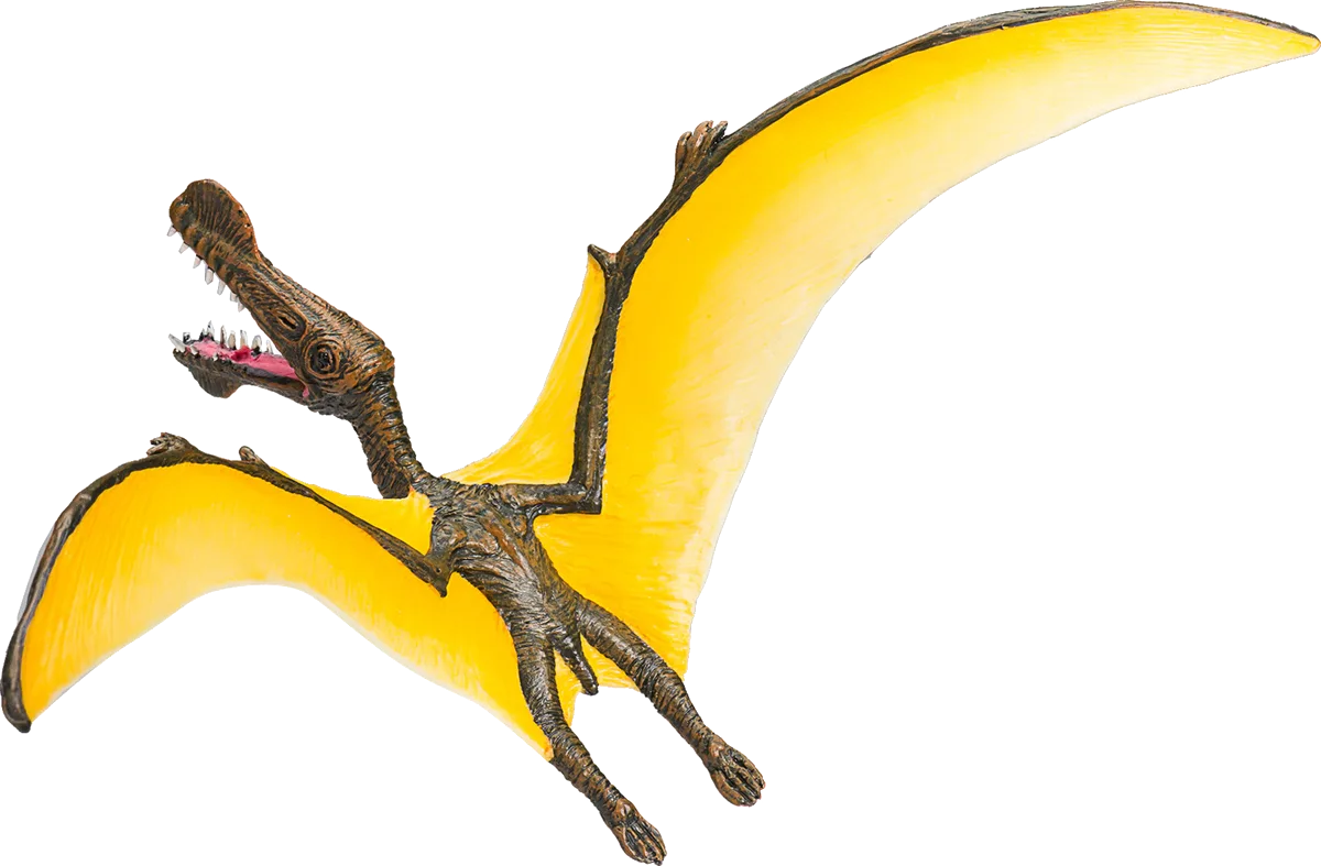 Mojo Tropeognathus - billede 1