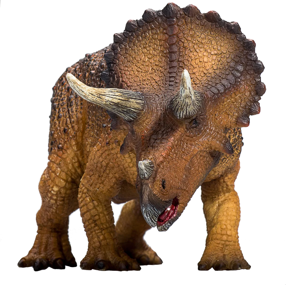 Mojo Triceratops - billede 1