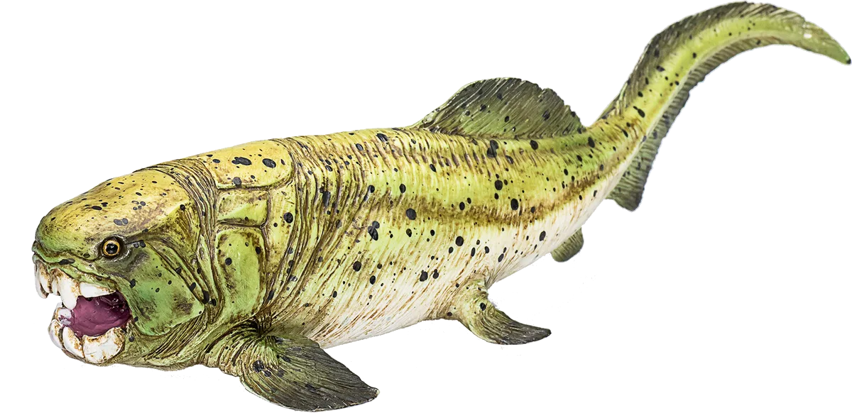 Mojo Dunkleosteus - billede 1
