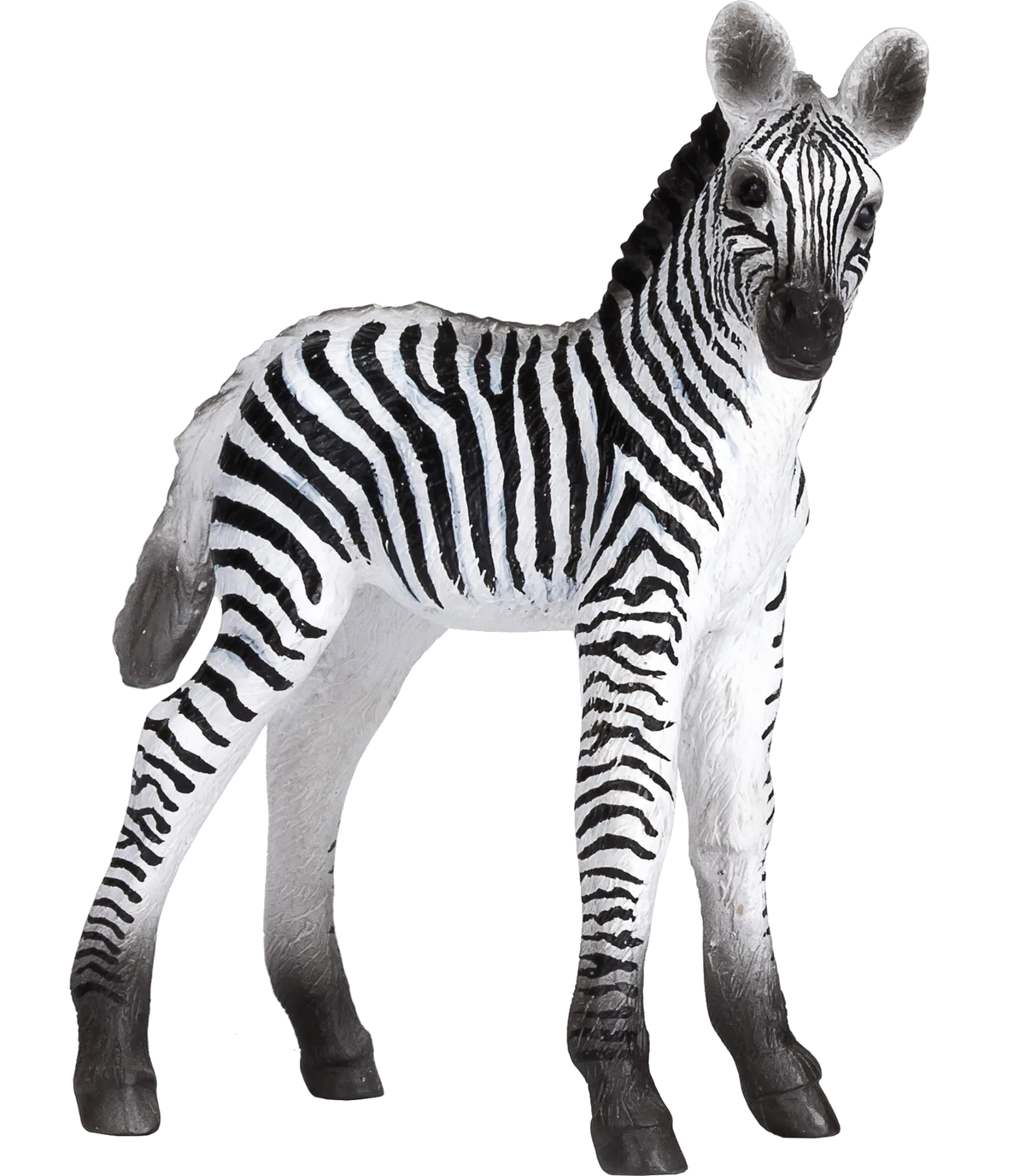 Mojo Zebra Føl - billede 1