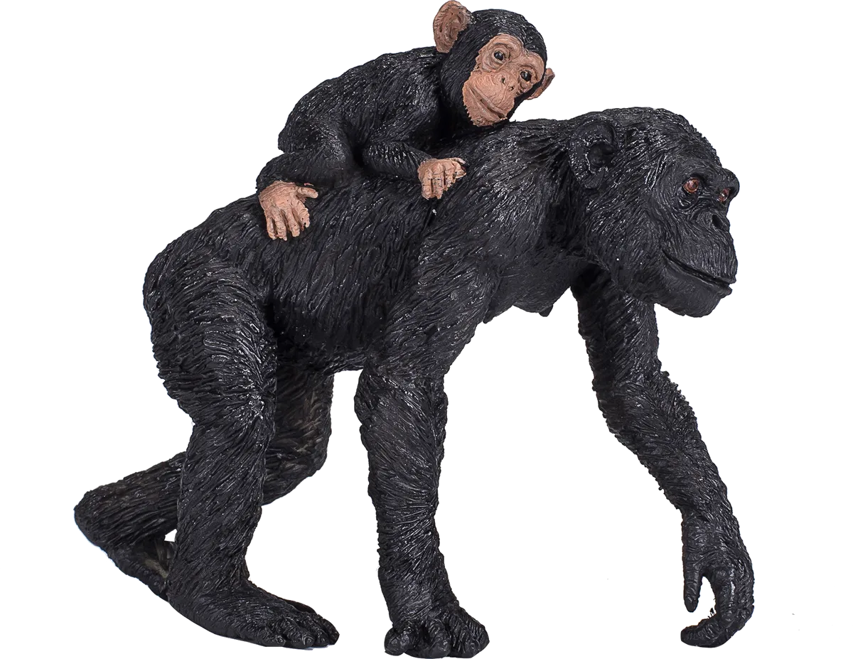 Mojo Chimpanse og unge - billede 1