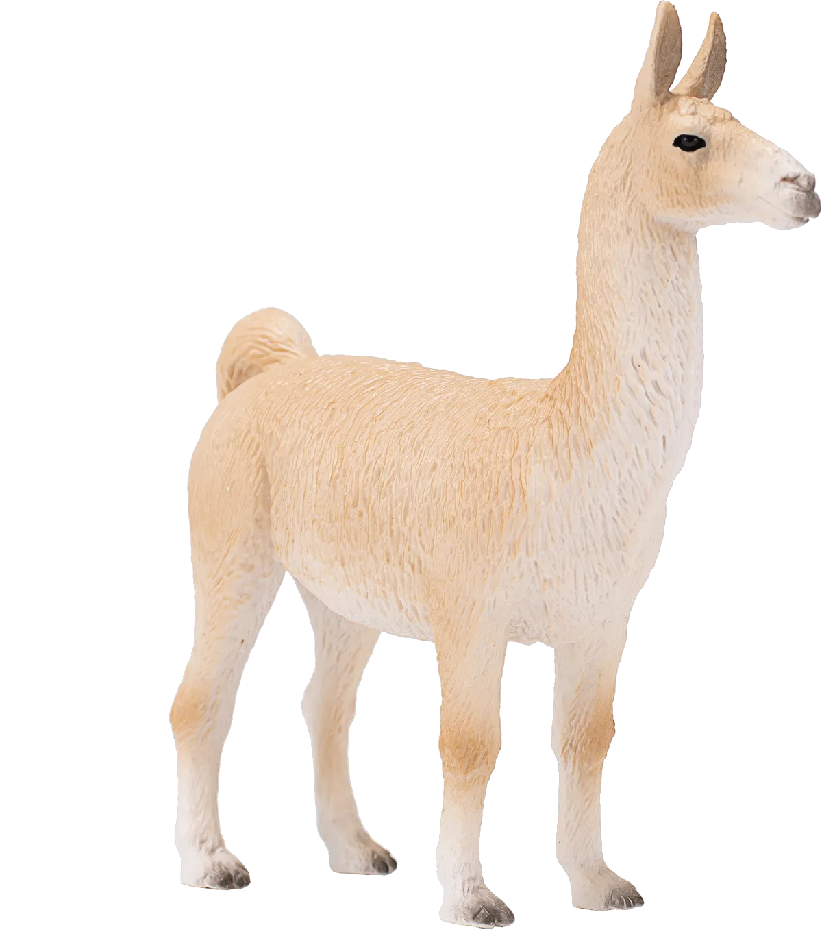Mojo Lama - billede 1
