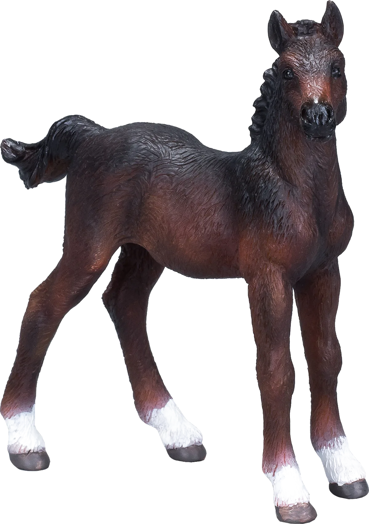Mojo hanoverian Føl, Brun - billede 1