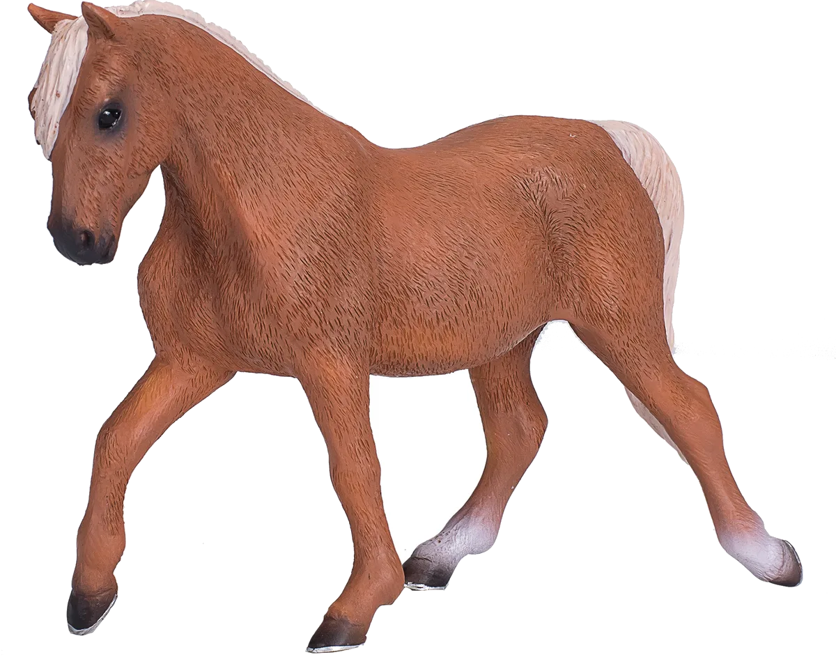 Mojo Palomino Morgan Hingst - billede 1