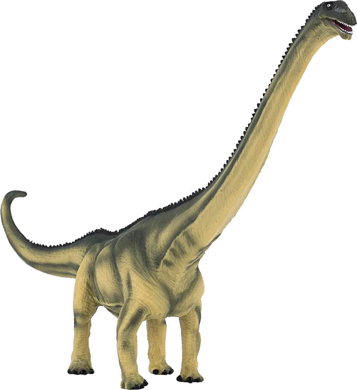 Mojo Mamenchisaurus - billede 1