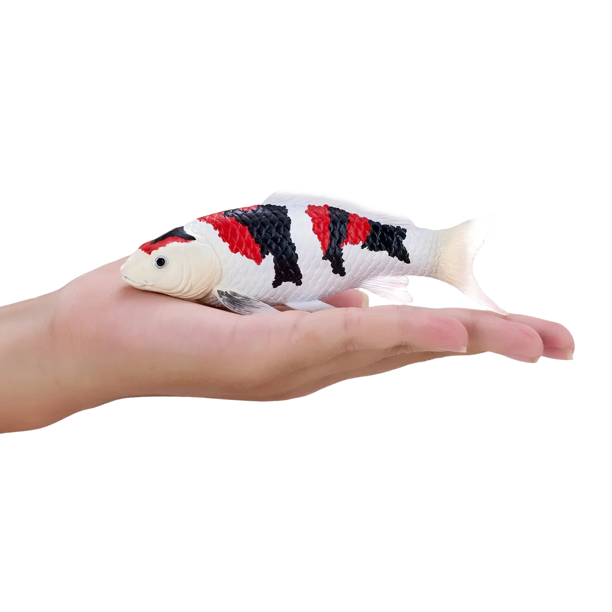 Mojo Koi karpe, Trefarvet - billede 1