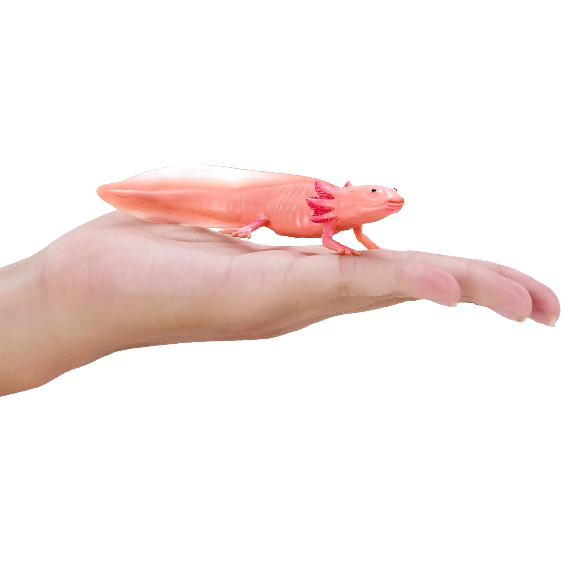 Mojo Axolotl halepadde - billede 1