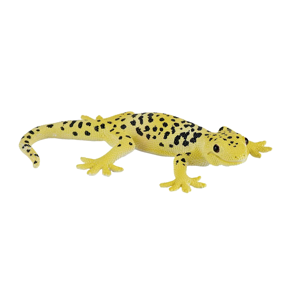 Mojo Leopard gekko - billede 1