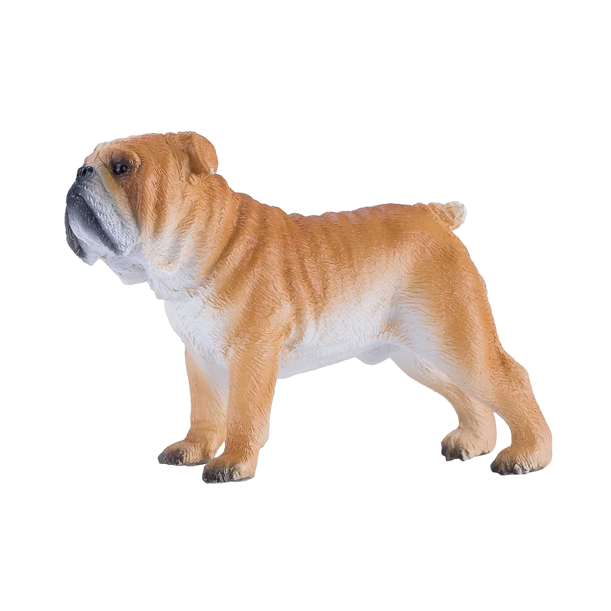 Mojo Engelsk bulldog - billede 1