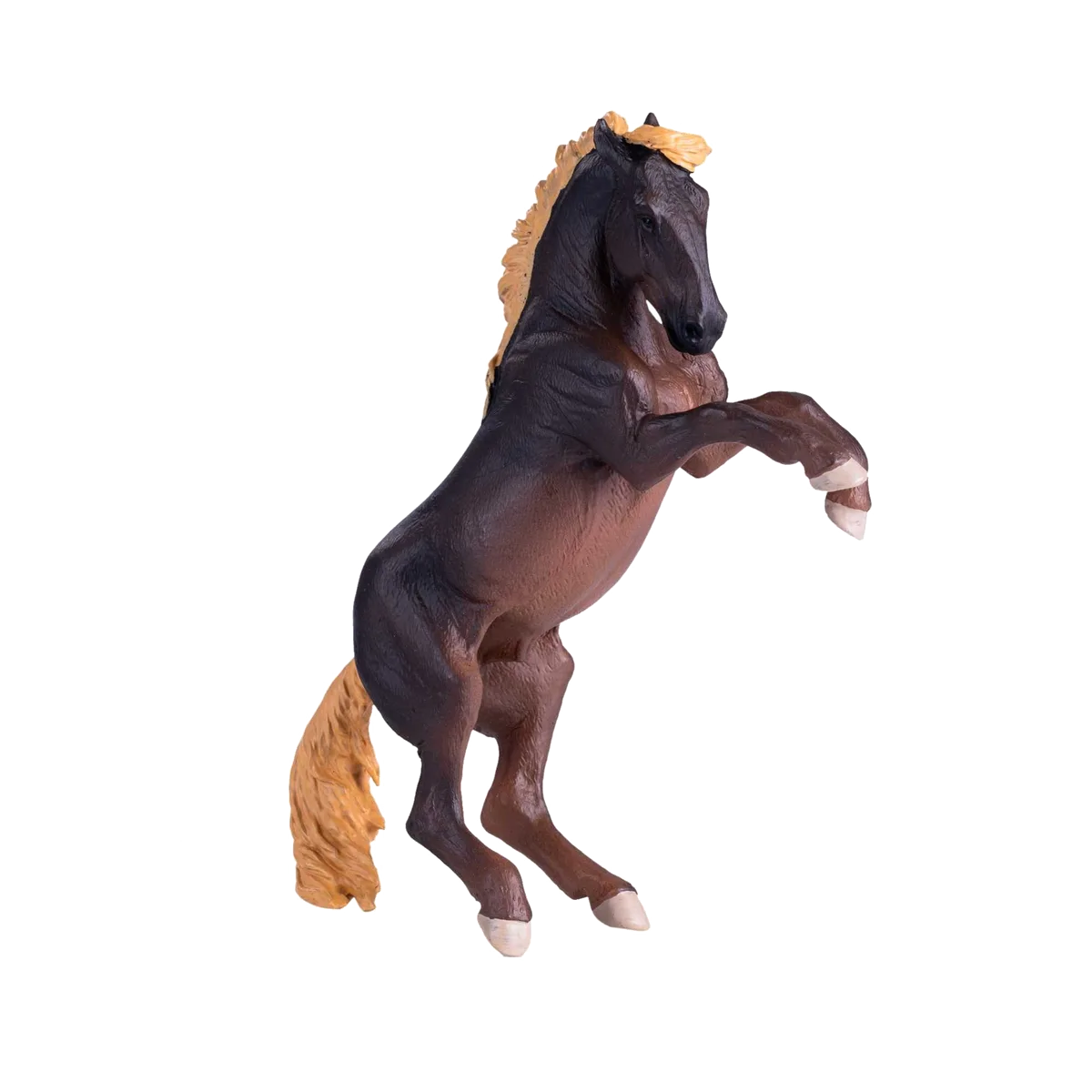 Mojo Brumby hingst - billede 1
